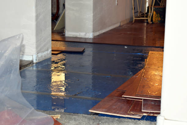 Professional Burst Pipe Cleanup technician working in Dixon, IL